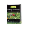 Blommor Skånefrö Balkong- & Terassmix