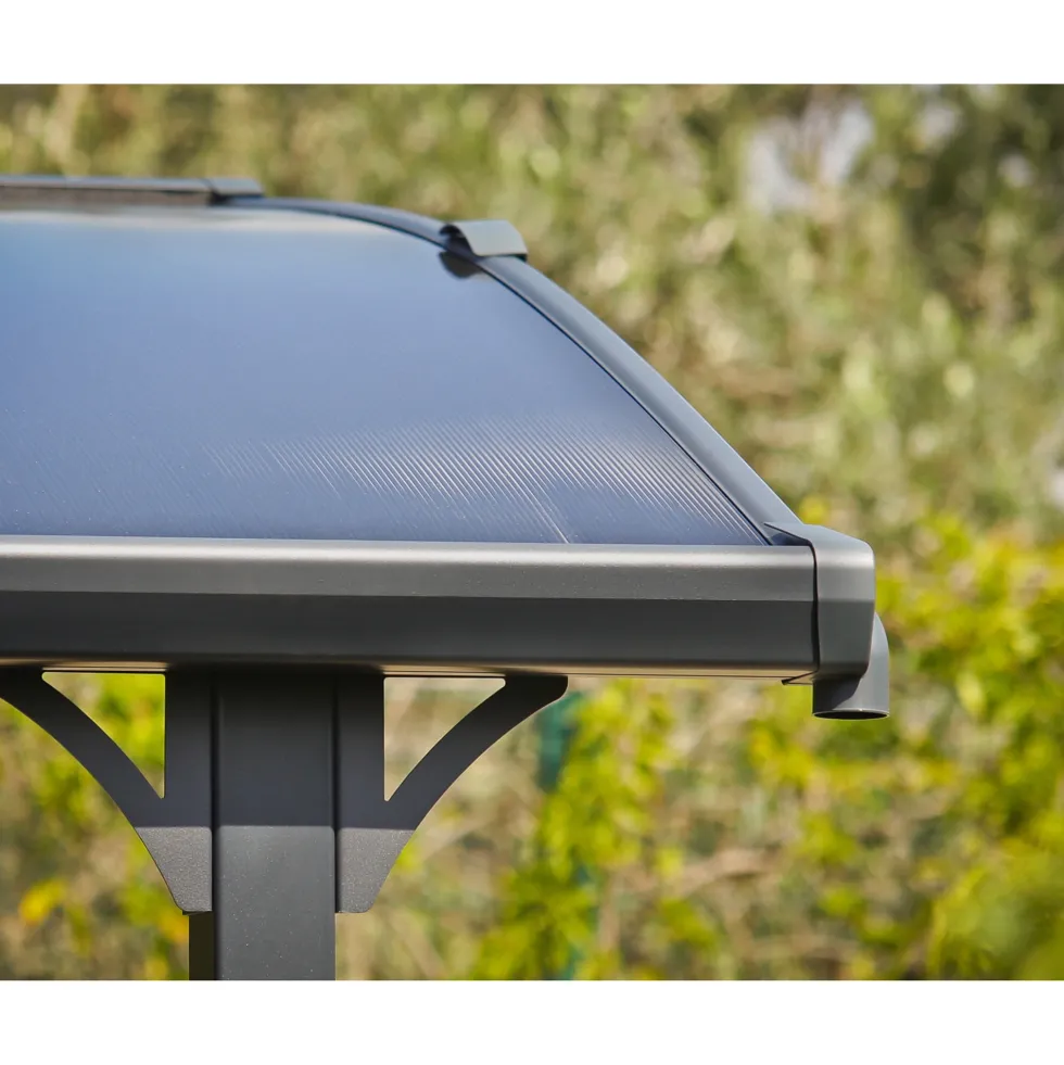 Carport Canopia by Palram Arcadia 5000