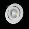 Downlight Designlight P-192MW tilt 11w