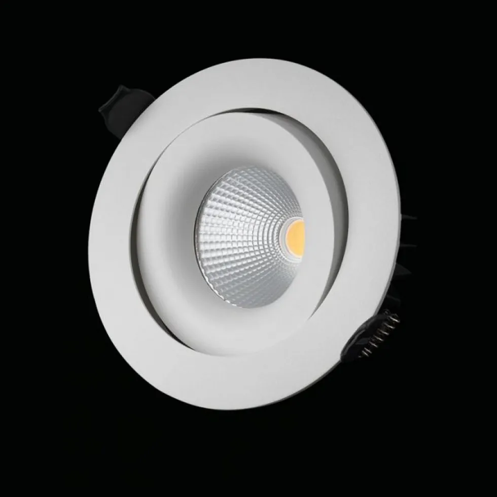Downlight Designlight P-192MW tilt 11w