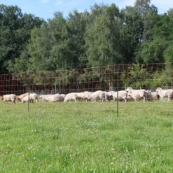 Elnät Swedguard Vilt/Varg 145 cm