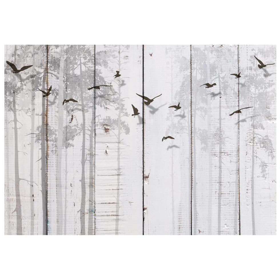 Fototapet Arkiio Birds On Boards100x70 cm