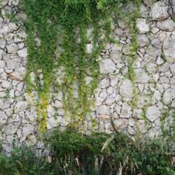 Fototapet Living Walls Designwalls DD118793