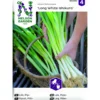 Frö Nelson Garden Gräslök Vanlig Polyvert Organic