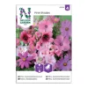 Frö Sommarblommor Nelson Garden Rosa Mix