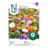Frö Zinnia Nelson Garden Takiis Choice
