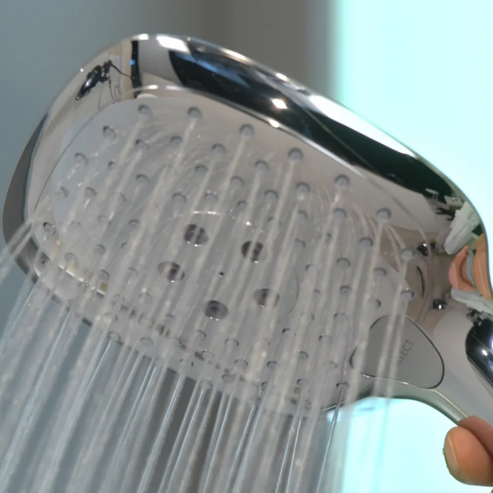 Handdusch Hansgrohe Raindance SelectVit/Krom