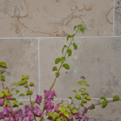 Kalksten Italian Marble Jura Grå Slipad 31x61 cm