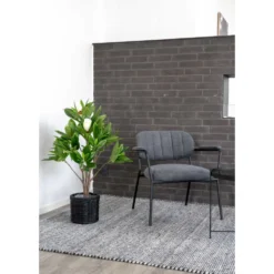 Konstväxt House Nordic Magnolia