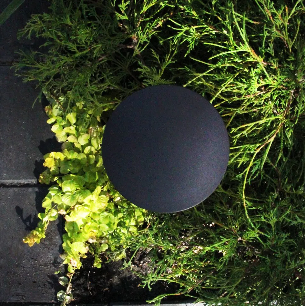 Pollare LightsOn Orbit