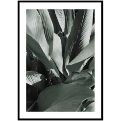 Poster Gallerix Banana Leaves No4