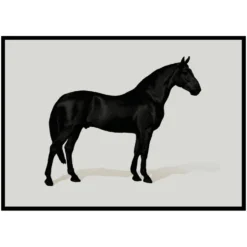 Poster Gallerix Black Horse Land. Drawing