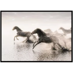 Poster Gallerix Wild Horses Running