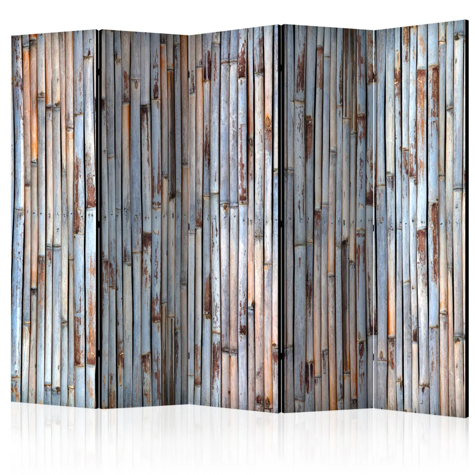 Rumsavdelare Arkiio Asian History II 225x172 cm