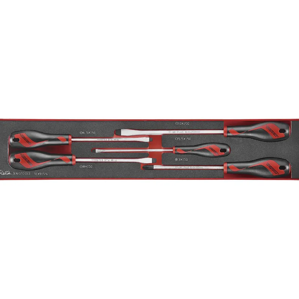 Skruvmejselsats 5 delar Teng Tools TEX915N