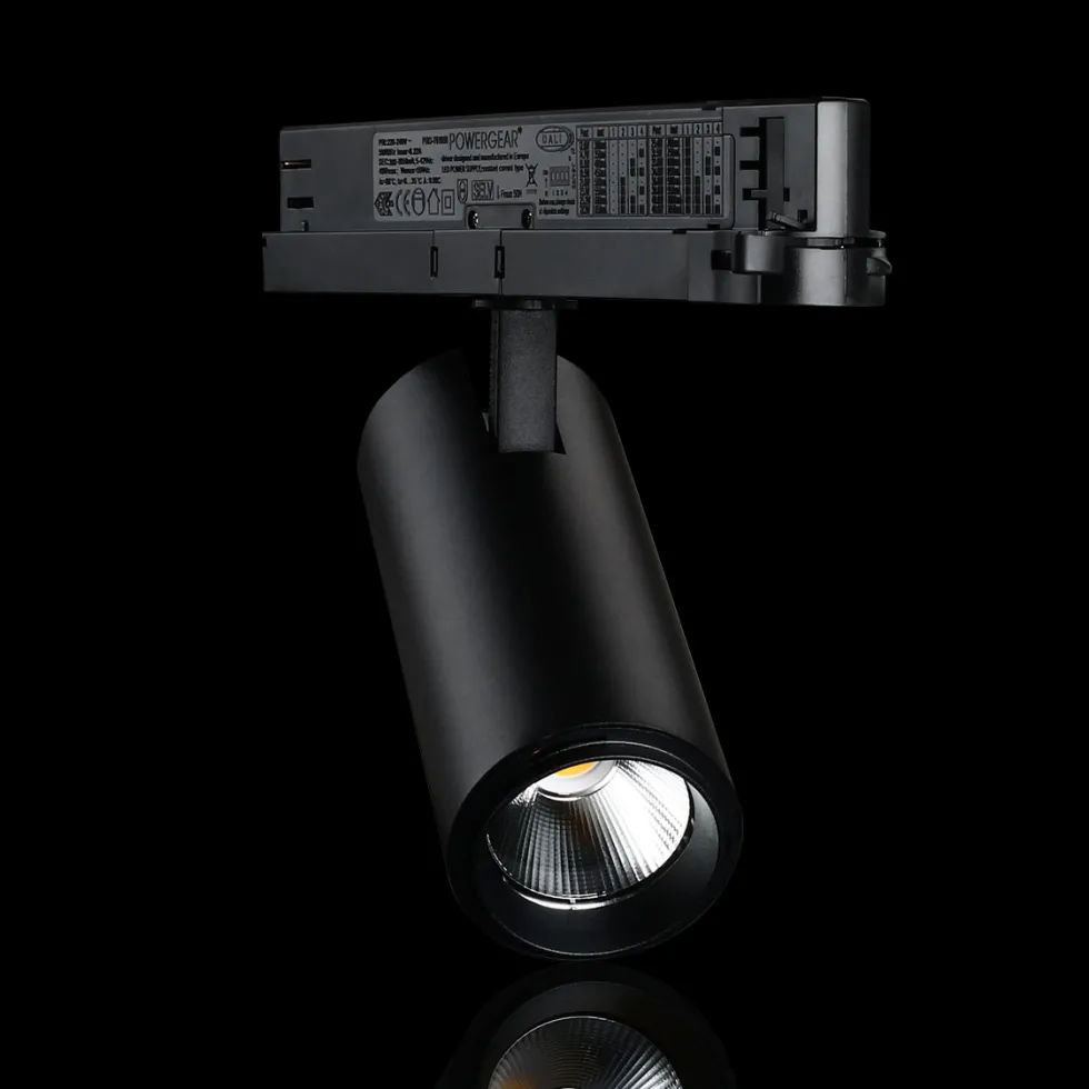Spotlight Designlight Tracklight P Dali