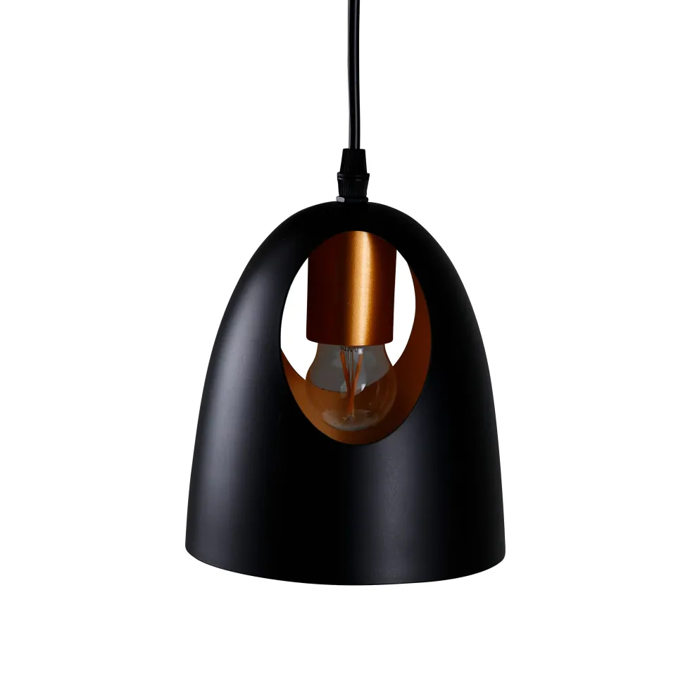 Taklampa Venture Home Emilio 1L