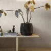 Tapet Boråstapeter Moorland 4712