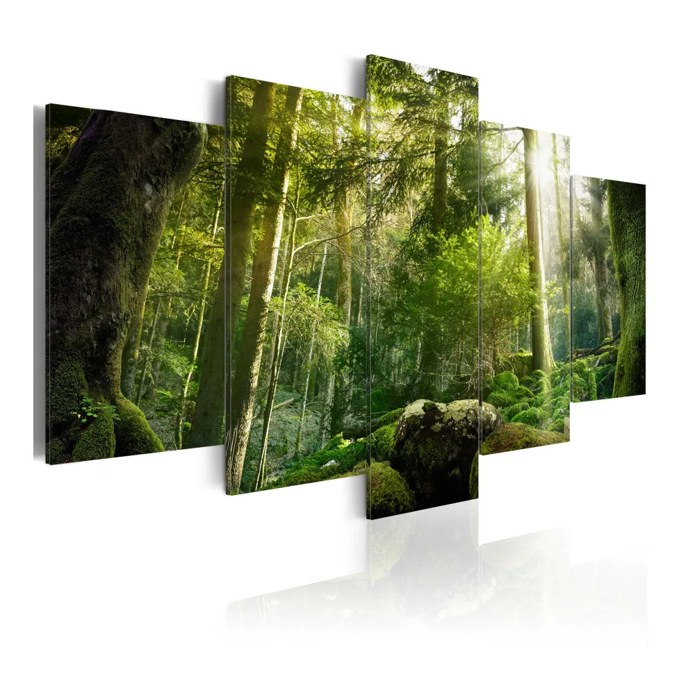 Tavla ArkiioThe Beauty Of The Forest