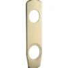 Täckskylt ASSA ABLOY 4256
