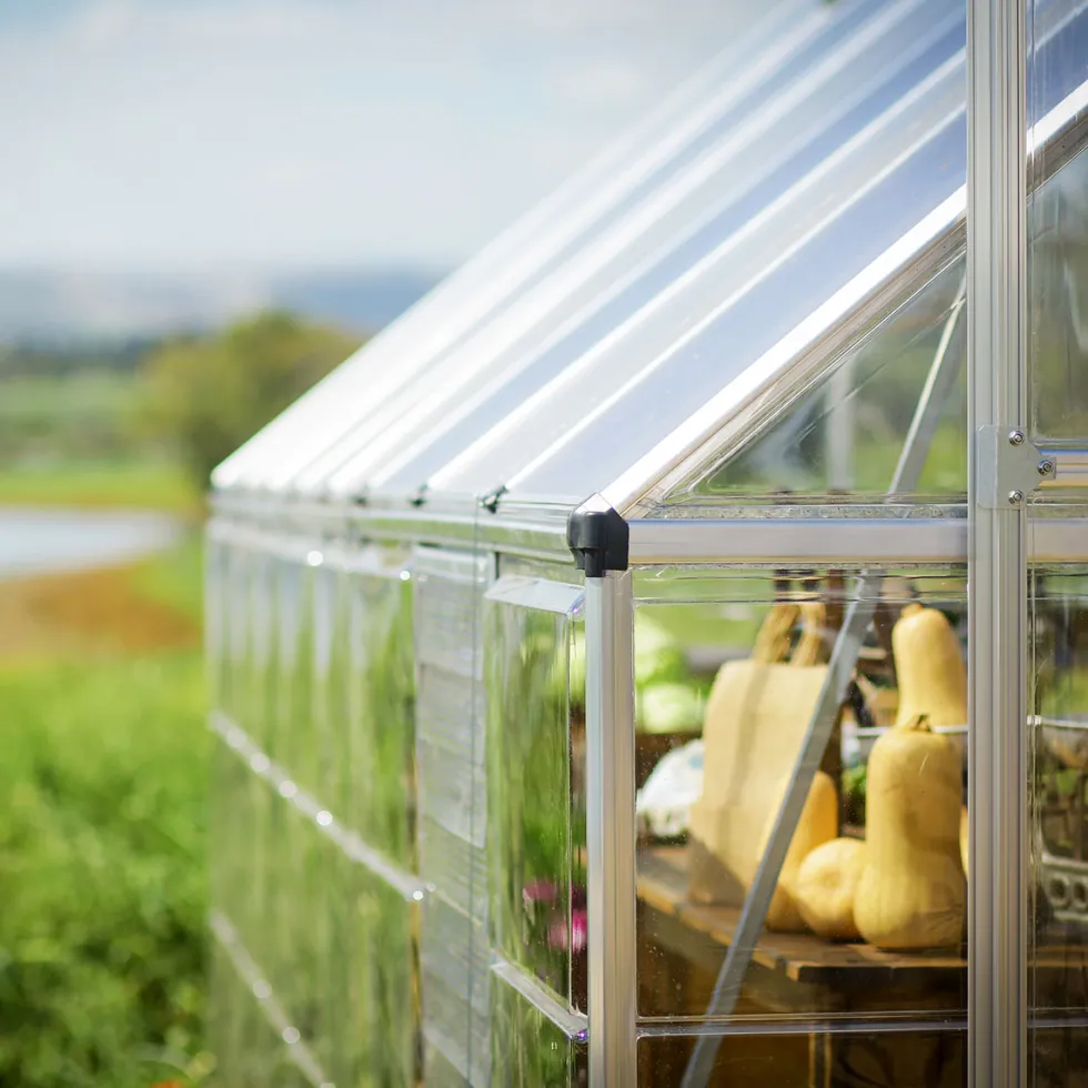 Växthus Canopia by Palram Balance Aluminiumram med UV-Skyddad Polykarbonat & Ventilationsfönster, 14,3 m²